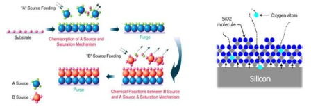 ALD 공정 및 Silicon oxidation 모식도