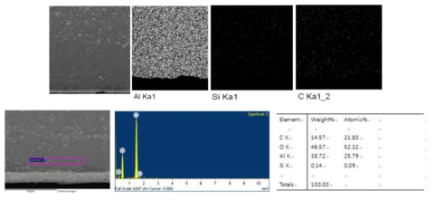 복합체의 EDS 분석 (1500℃에서 가소결한 모재, 1800℃ 소결)