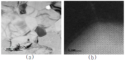 AIN 소결시편의 미세구조 1wt% Y2O3, no additive, 1600℃, 5h) (a) X15000, (b) X80000