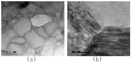AIN 소결시편의 미세구조 1wt% Y2O3, 2.0wt% MgO, 1600℃, 5h) (a) X80000, (b) X40000