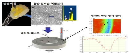 내식성/내마모성 복합평가 모식도