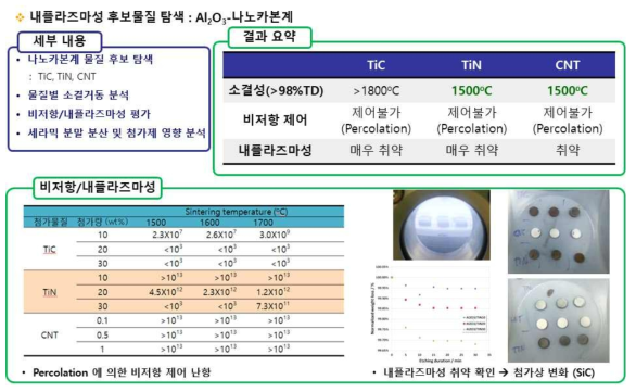 (기호) Al2O3-나노카본계 복합재료의 내플라즈마성 소재 적용 탐색