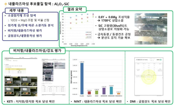 (기호) Al2O3-나노카본계 복합재료의 내플라즈마성 소재 적용 탐색