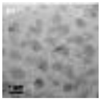 촉매 분산에 대한 투과전자현미경 사진.