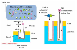 플라즈마 세정공정에서 일어나는 이온과 라디칼의 반응