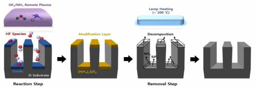 OF2/NH3 Remote Plasma 및 Lamp Heating을 이용한 건식 세정 개념도