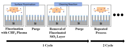 실리콘 산화막 세정 공정 메커니즘