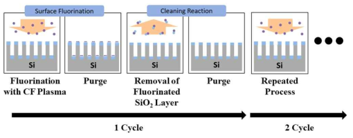 실리콘 산화막 세정 공정 메커니즘