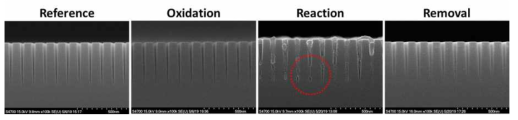 종횡비 (10:1) 패턴에서의 산화막 건식 세정 반응 및 부산물 제거 결과