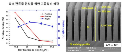 측벽 잔류물 분석을 위한 고종횡비 Si 트렌치 식각 프로파일 확보