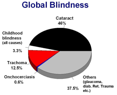 WHO의 global blindness 보고서 (http://www.who.int/mediacentre/factsheets/fs213/en/)