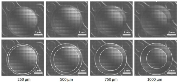 광학 성능 테스트용으로 제작한 250, 500, 750, 1000 μm 패턴영역폭을 갖는 패턴 인공수 정체 광학이미지: 레이저 패턴 영역-흰색 점선