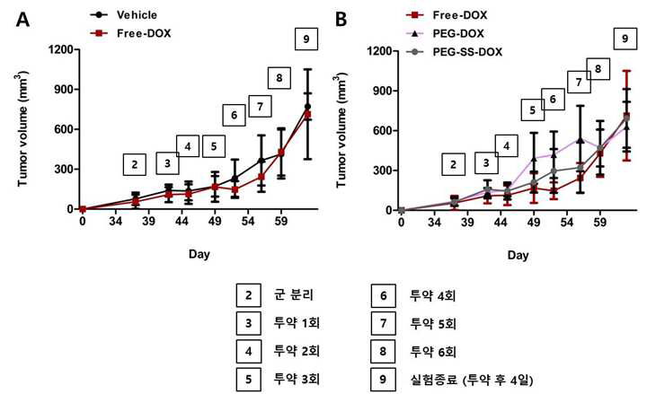종양 크기 Free-Dox vs polymer