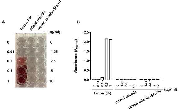Mixed micelle과 Mixed micelle-SPION의 생체적합성 평가