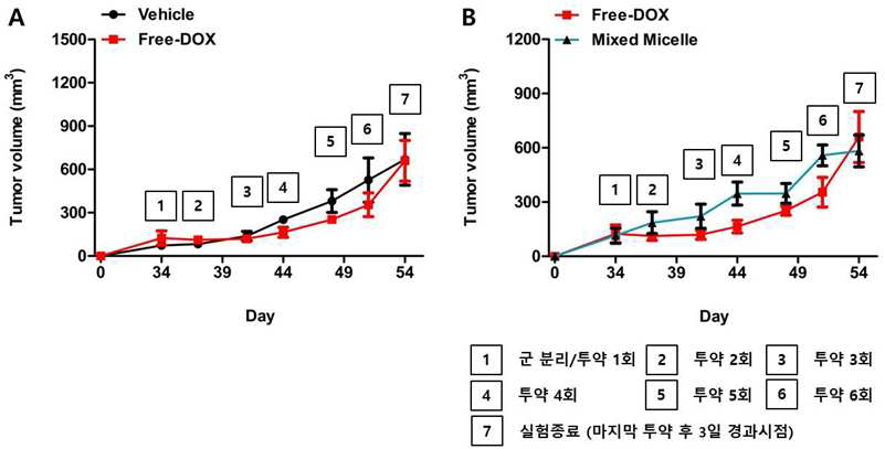 대조군 대비 free-dox 투여군 (A)과 Free-Dox 투여군 대비 mixed-micelle 투여군 (B)의 종양성장억제 비교