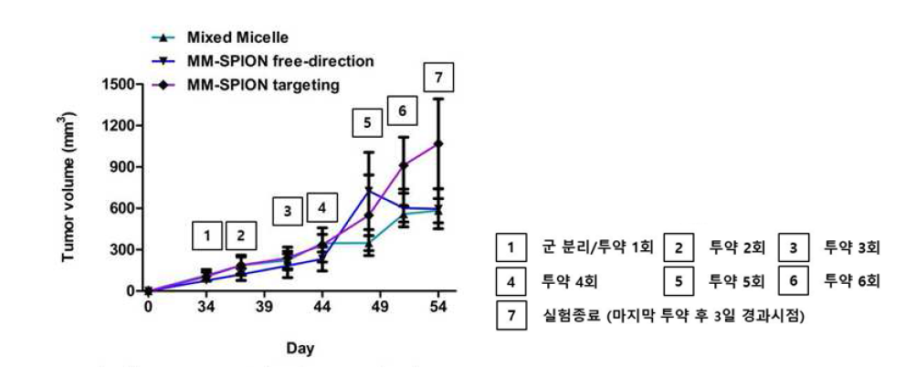 Mixed micelle-SPION (free-direction)과 mixed micelle (polymer) 투약군의 종양성장 그래프