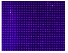 LCD 표면 UV 투과 영역 근접 촬영