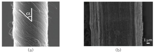 (a) 나선형 또는 (b) 섬유형태의 탄소나노튜브 SEM 이미지
