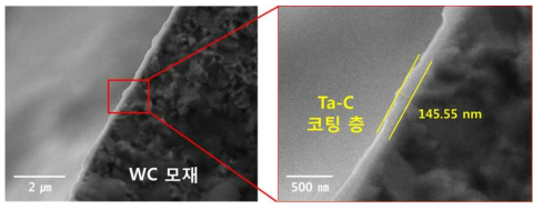 드릴 비드 ta-C 코팅의 SEM image