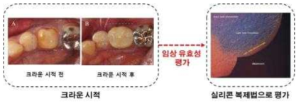 임상 유효성 평가과정