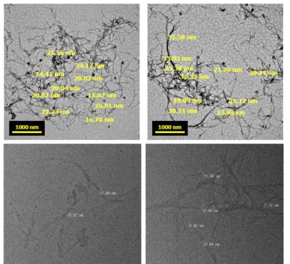 효소-리파이닝 처리 CNF의 TEM 이미지 : CNF 직경 (상 : 나노종합기술원, 하 : DGIST)