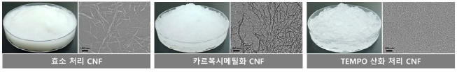 효소 처리, 카르복시메틸화, TEMPO 산화 처리 CNF 및 TEM 이미지