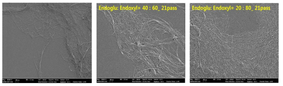 무처리 CNF(왼쪽, 그라인더 30회) 및 복합 효소 전처리된 CNF(그라인더 21회)의 SEM 이미지