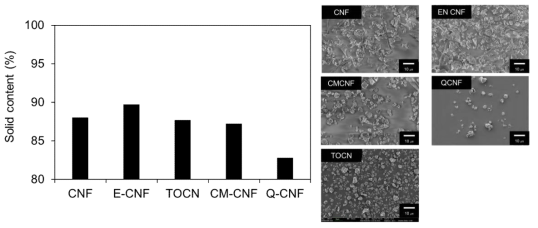 전처리 조건에 따른 CNF 분말 고형분 함량(왼쪽)과 SEM 이미지(오른쪽)