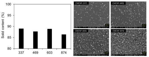산함량에 따른 CNF 분말 고형분 함량(왼쪽)과 SEM 이미지(오른쪽)