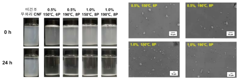 건조 조건에 따른 CNF 분말 재분산 현탁액의 침전 양상(왼쪽) 및 SEM 이미지(오른쪽)