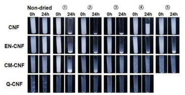 CNF 종류별 해리 조건에 따른 재분산 현탁액의 침전양상 관찰