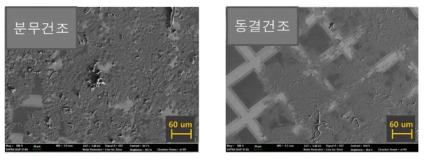 CMCNF (337 µmol/g)의 건조 방법에 따른 재분산 현탁액 SEM 이미지