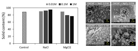 염의 투입에 따른 CMCNF 분무건조 분말의 고형분 함량 및 SEM 이미지