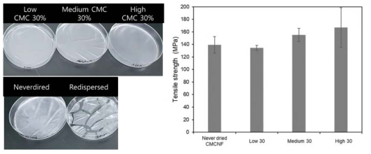 CMC 투입에 따른 재분산 CNF의 필름 형성 양상 및 필름 인장강도