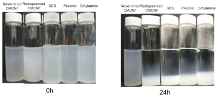 계면활성제 종류에 따른 재분산 CNF 현탁액의 침전양상