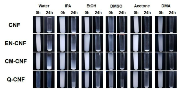 CNF 종류별 분산매에 따른 재분산 현탁액의 침전양상