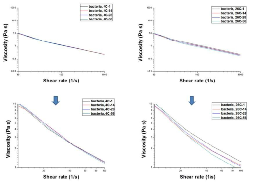 박테리아 접종에 따른 기간별 저전단 점도 그래프. (미생물 접종시 농도: UV/vis spectroscopy를 이용, 600nm에서 0.7 absorbance 값을 갖는 용액 1ml를 접종)