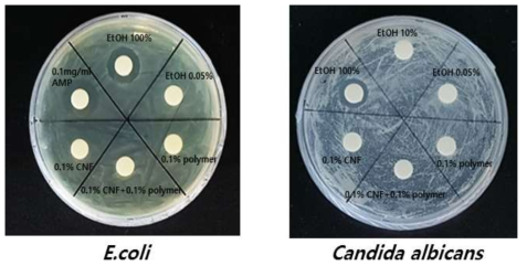 한천 확산법을 이용한 양친매성 고분자의 항균성