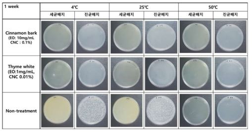 CNF 모델 시스템에서 CNC 기반 EO 에멀젼 처리 후 저장시간 (1주) 및 온도(4, 25, 50℃)에 따른 미생물 오염 방지 효과 평가 결과