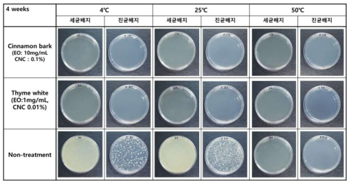 CNF 모델 시스템에서 CNC 기반 EO 에멀젼 처리 후 저장시간 (4주) 및 온도(4, 25, 50℃)에 따른 미생물 오염 방지 효과 평가 결과