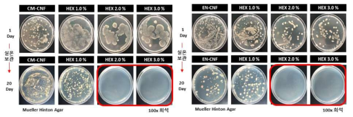 실제 CNF에 적용하였을 때 1,2-Hexanediol 농도에 따른 단기 보관 샘플의 항균성 평가