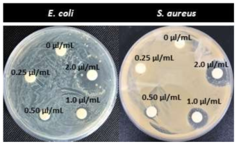 135 mg CNC/mL EO 피커링 에멀젼의 한천 확산법을 이용한 EO의 항균성 평가 실험 결과 (0, 0.025, 0.05, 0.1, 0.2 μl/mL의 EO를 함유)