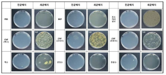 주관기관에서 제공한 CNF의 미생물 오염도 평가