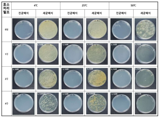 주관기관에서 제공한 효소처리 펄프의 저장시간 (최대 1달) 및 온도 (4, 25, 50℃)에 따른 미생물 오염도 평가 결과