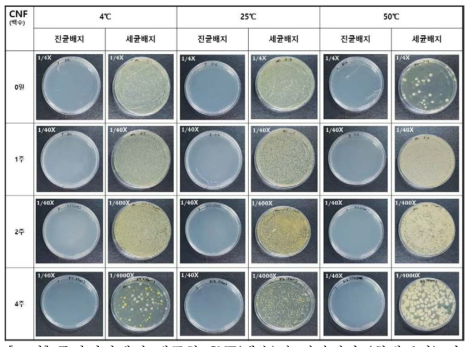 주관기관에서 제공한 CNF(백수)의 저장시간 (최대 1달) 및 온도 (4, 25, 50℃)에 따른 미생물 오염도 평가 결과