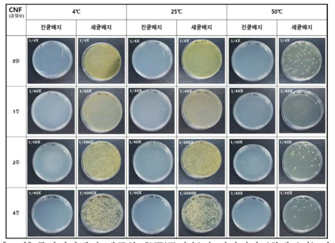 주관기관에서 제공한 CNF(공정수)의 저장시간 (최대 1달) 및 온도 (4, 25, 50℃)에 따른 미생물 오염도 평가 결과