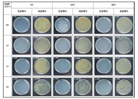 주관기관에서 제공한 CNF(증류수)의 저장시간 (최대 1달) 및 온도 (4, 25, 50℃)에 따른 미생물 오염도 평가 결과