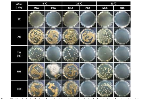 주관기관에서 제조한 CM-CNF의 저장시간 (1일) 및 온도(4, 25, 50℃)에 따른 미생물 오염도