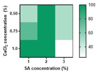 SA 농도와 CaCl2 농도에 따라 생성되는 알지네이트 비드의 형태 안정성 평가