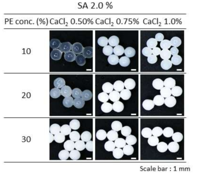 PE 함유율 및 CaCl2 농도에 따른 하이드로젤 비드 형성 비교
